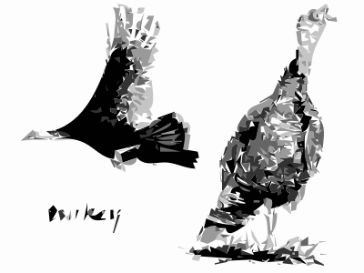 2 Turkey Birds clipart