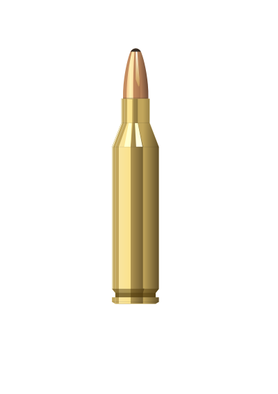 243Win clipart