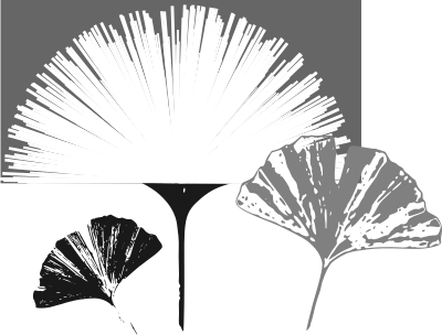 3 gingko leaves clipart