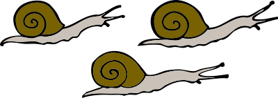3 snails clipart
