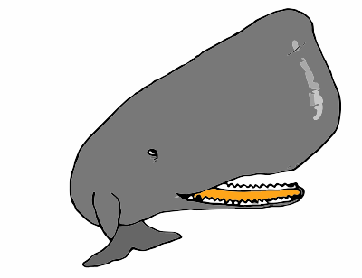 A big Sperm whale clipart