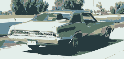 A cougar in the wild clipart