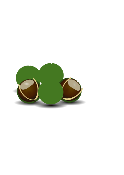 A couple of chestnuts clipart