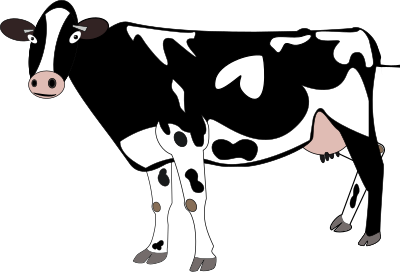 A cow clipart