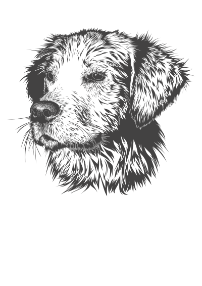 A dog's head clipart