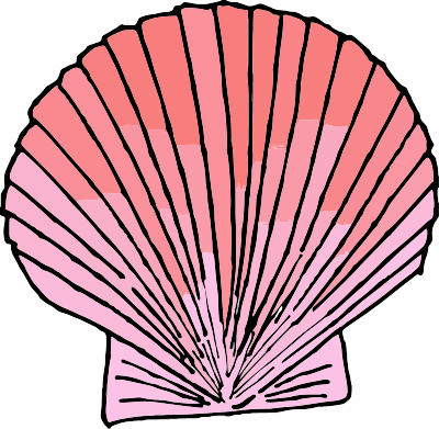 A Fanshell clipart