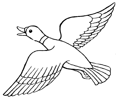 A flying duck clipart