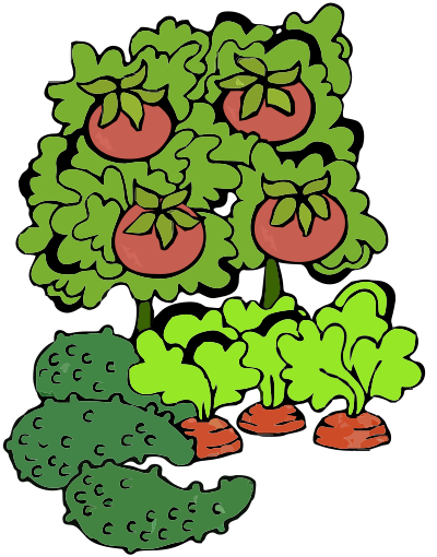 A garden with vegetables - tomato remix clipart