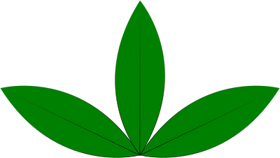 A green sprout clipart