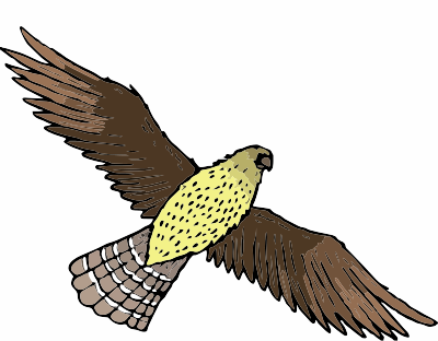 A hawk clipart
