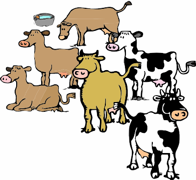 A Herd of Cows clipart