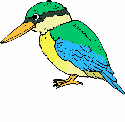 A Kingfisher clipart