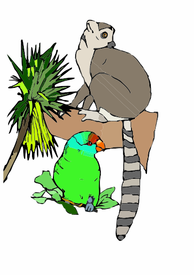 A Lemar and a Parakeet clipart
