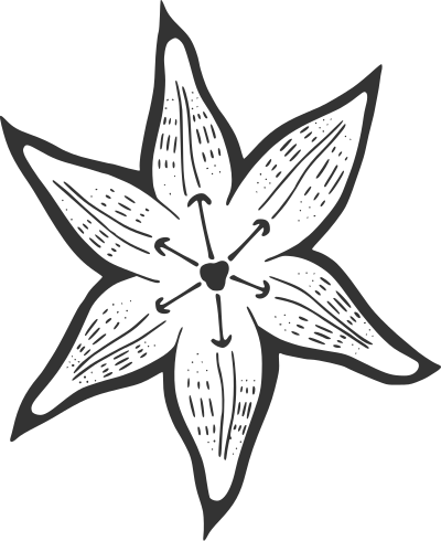 A Lily for Becky clipart