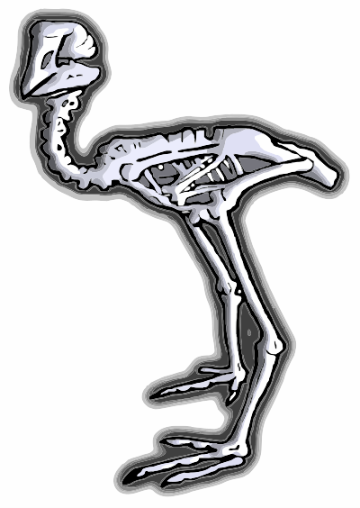 A Moa Fossil clipart