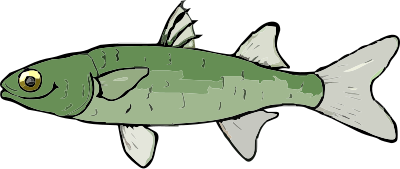 A Mullet Fish clipart
