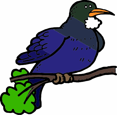 A New Zealand Tui Bird clipart