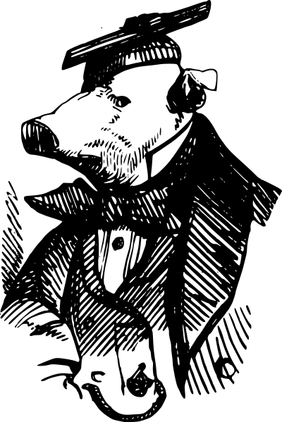 A pig gradutate clipart