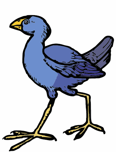 A Pukaka bird from New Zealand clipart