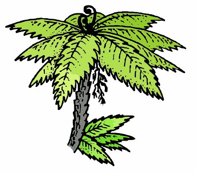 A Punga Free Tree New Zealand clipart