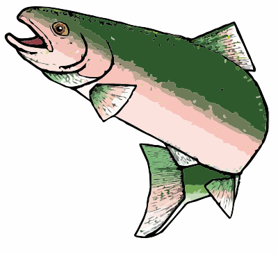 A rainbow trout clipart