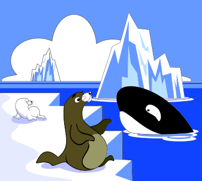 A Seal A Sea Lion And A Killer Whale clipart