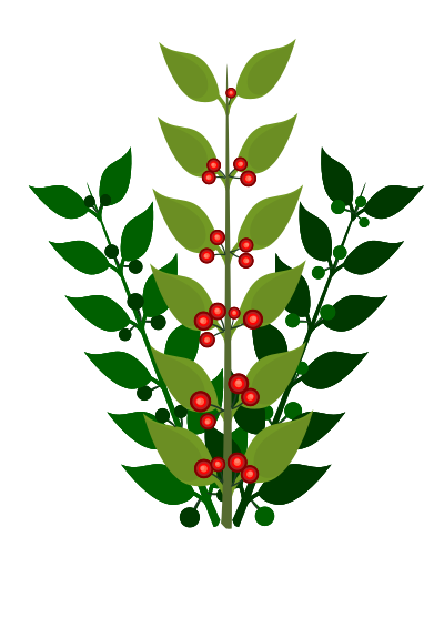 A simple branch with berries clipart