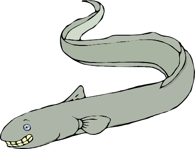 a Smiling Eel clipart