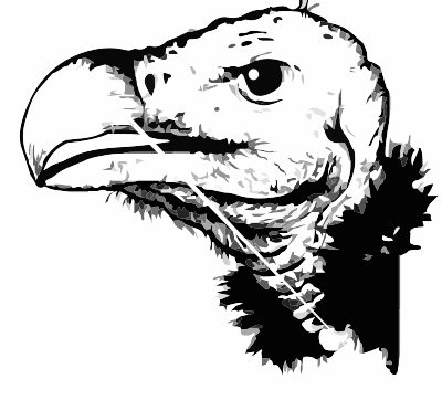 A Vulture clipart