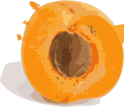 Abricot (coupe) clipart
