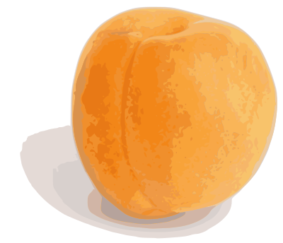 Abricot (entier) clipart