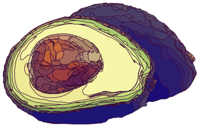 Abstract Avocado clipart