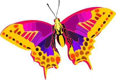 Abstract Colorful Butterfly clipart