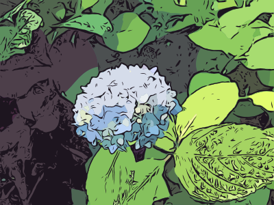 Abstract Hydrangeas clipart