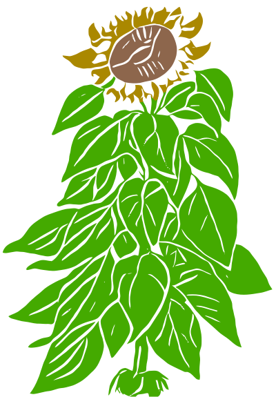 Abstract Sunflower - Simple Colour Remix clipart