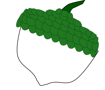 Acorn clipart