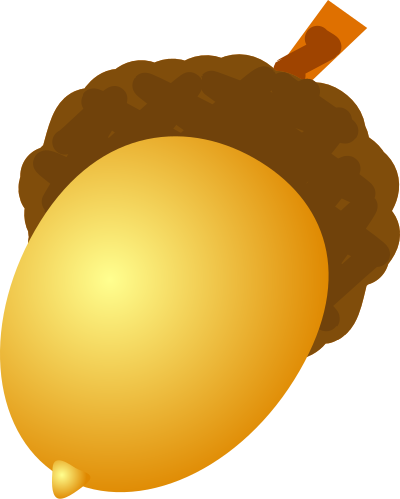 Acorn clipart