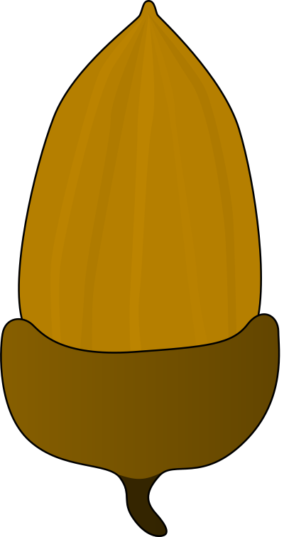 Acorn clipart