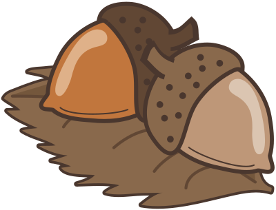Acorns clipart