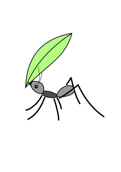 Acromyrmex (Ant) clipart