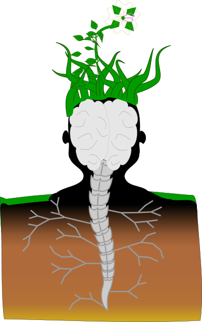 Adan clipart