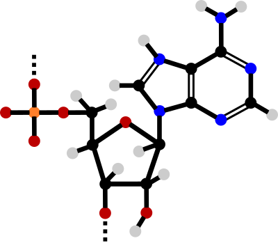Adenosine monophosphate clipart