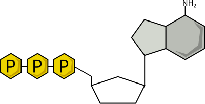 Adenosine Triphosphate (ATP) clipart