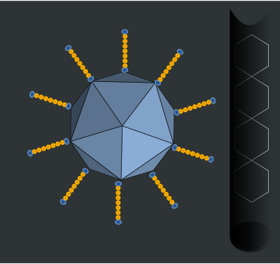 Adenovirus clipart
