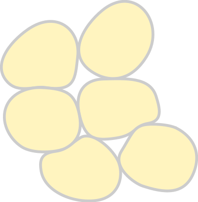 Adipose Tissue clipart