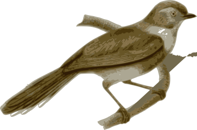 Aegithalos-fuliginosus clipart