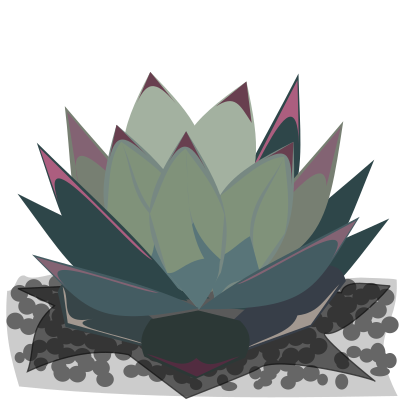 Agave clipart