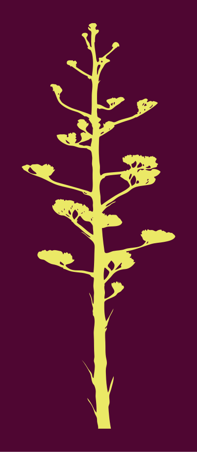 Agave Bloom clipart