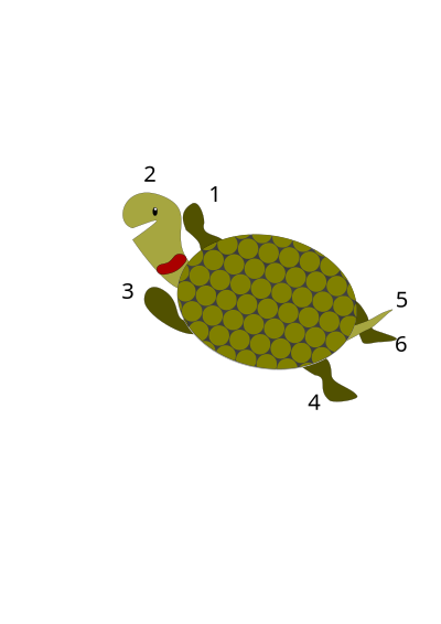 Agranoff's turtle clipart
