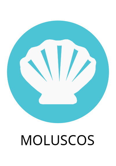 Alérgeno Moluscos/Mollusks clipart
